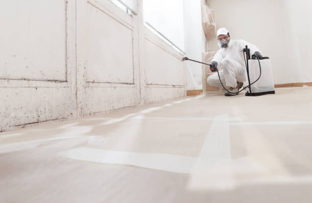 24/7 Emergency Attic Mold Remediation experts in Dover, TN